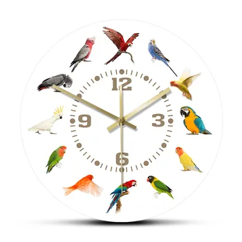 Kuşlar Irkları Koleksiyonu Modern duvar saati Sigara Geçiyor Duvar Saati Papağan Kuş Pet Türleri Egzotik Duvar Sanatı Kuş Severler Ev Dekor