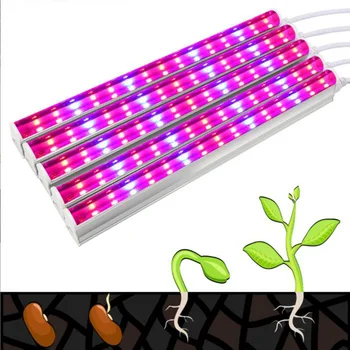 Kırmızı mavi bitki büyümek ışık T5 tüp LED Kapalı topraksız sera sistemi Lamba büyümek Çadır kutusu Çiçek Bitkiler Büyüme Anahtarı c1