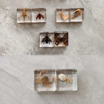 60 Çeşit Gerçek Böcek Numune Hayvan Reçine Amber Gerçek Bug Scarab Akrep Böceği Ev Dekorasyon Ev Aksesuarları Çocuk Hediye